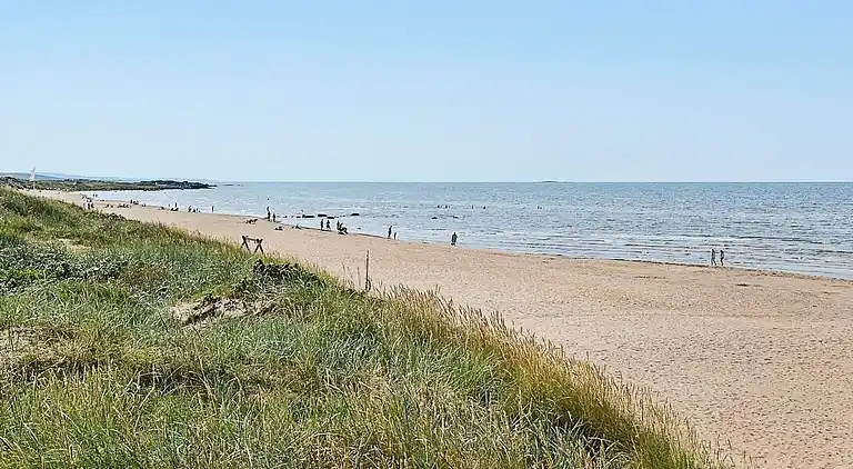 Sommerhus i Falkenberg S
