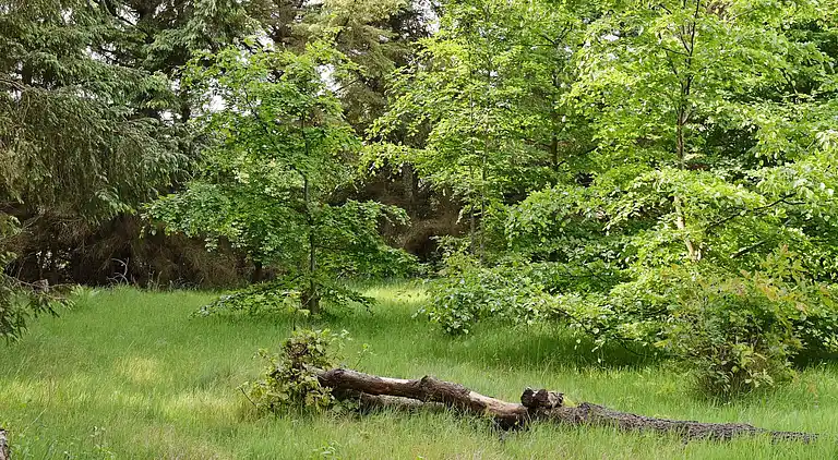 Vakantiehuis in Ulfborg