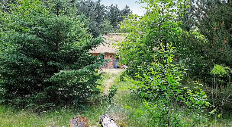 Vakantiehuis in Ulfborg