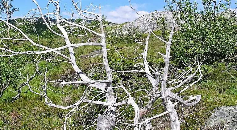 Holiday home in Sørfinnset