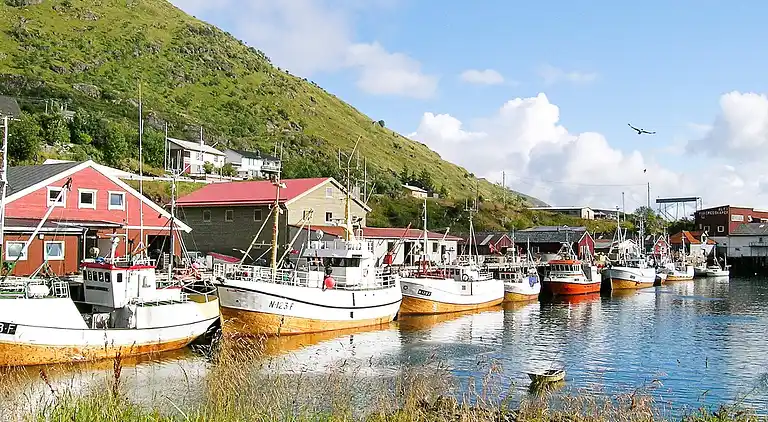 Holiday home in Vestvågøy