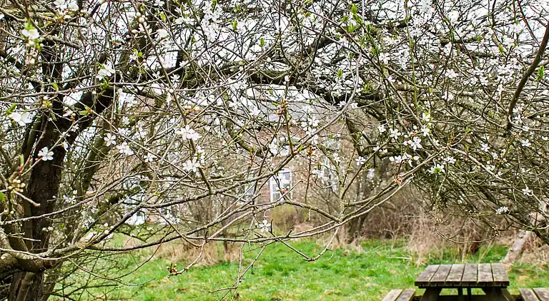Holiday home in Højer