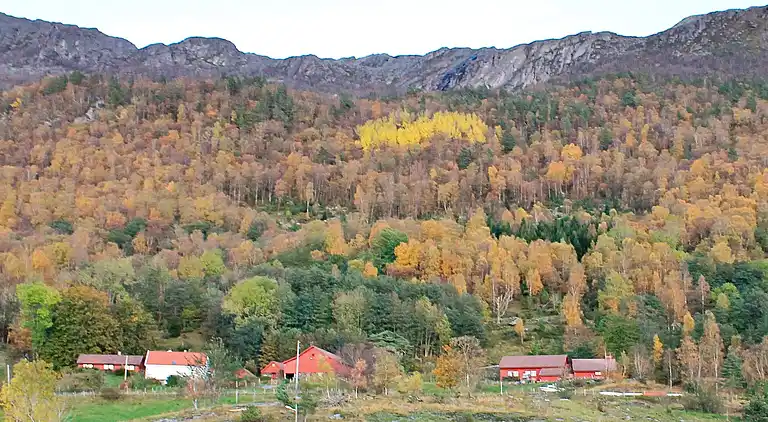Holiday home in Tysvær