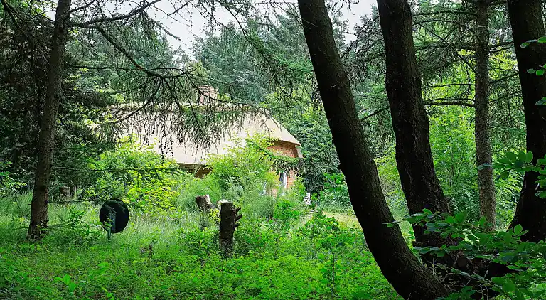 Vakantiehuis in Ulfborg