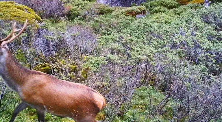 Holiday home in Tysvær