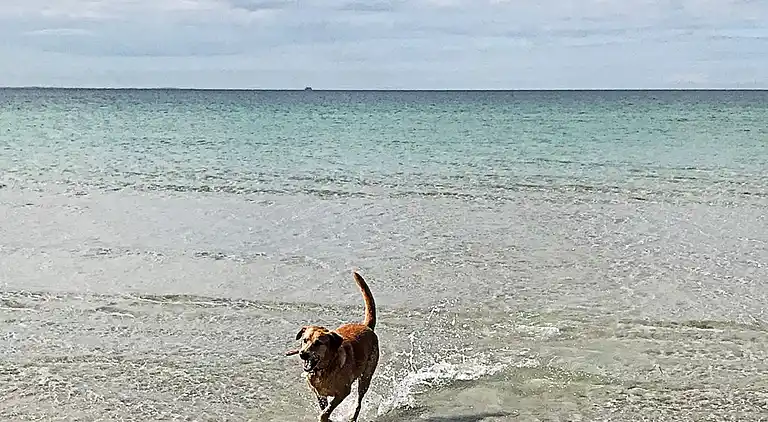 Sommerhus i Fårevejle