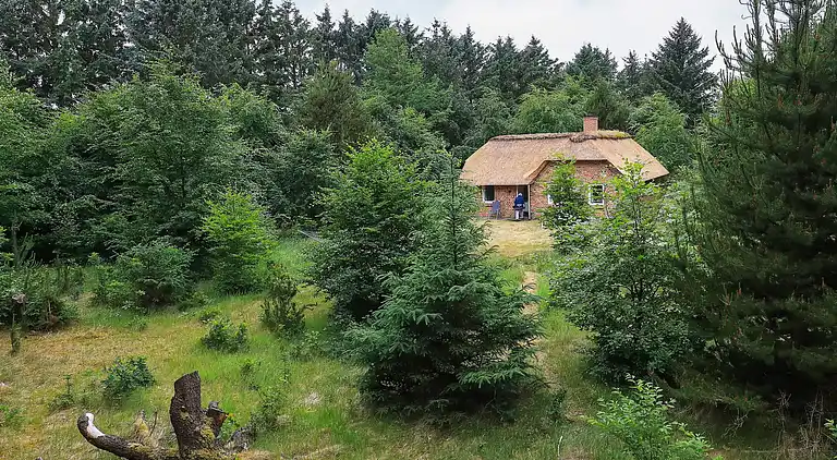 Vakantiehuis in Ulfborg