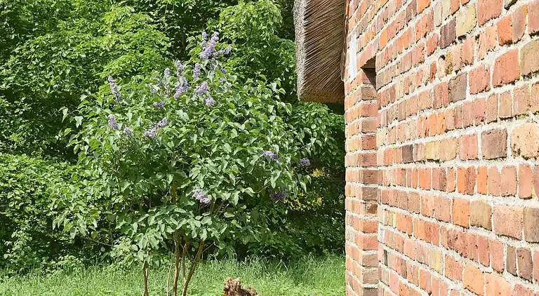 Vakantiehuis in Ulfborg