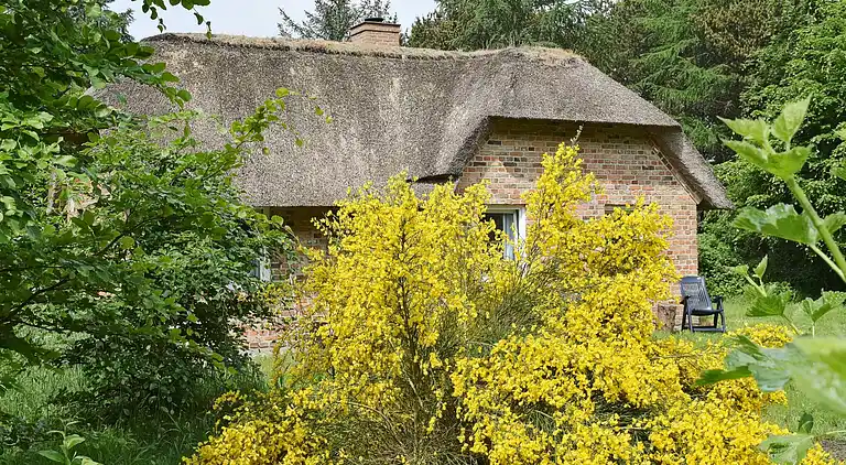 Vakantiehuis in Ulfborg