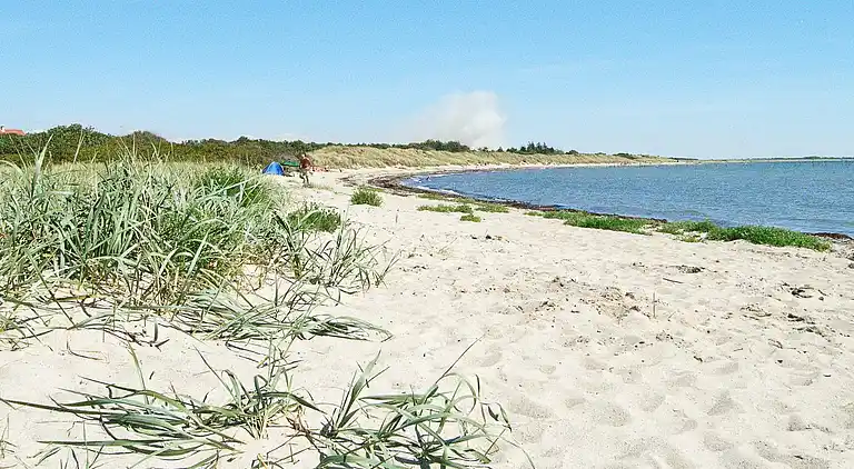 Sommerhus i Dannemare