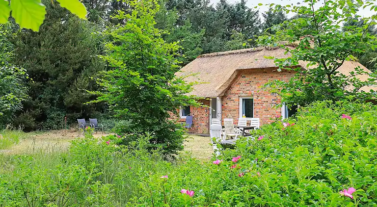 Vakantiehuis in Ulfborg