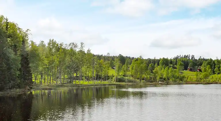Sommerhus i Årjängs