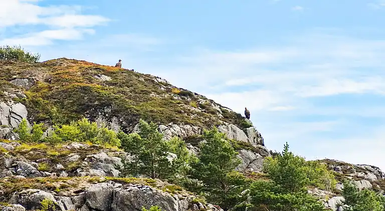 Holiday home in Korshamn