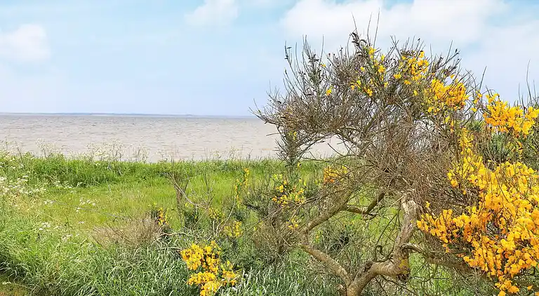 Vakantiehuis in Roslev