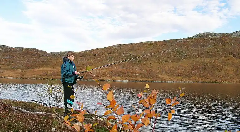 Sommerhus i Skorovatn