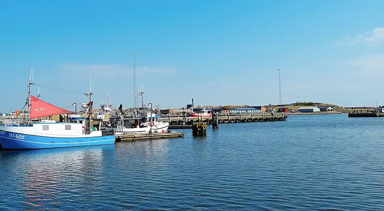 Holiday home in Ringkobing