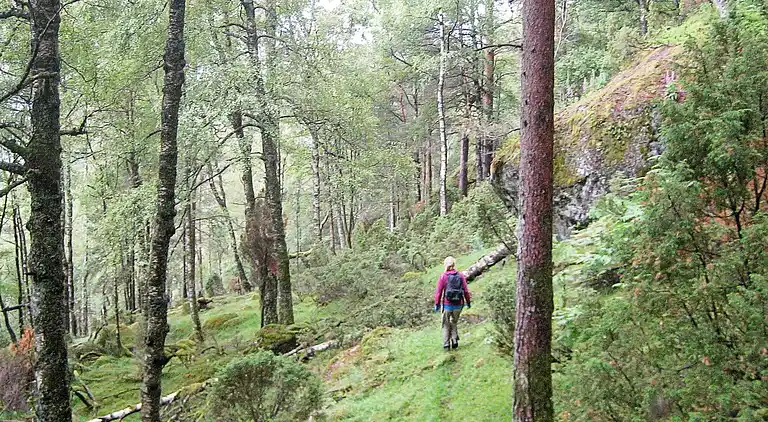 Vakantiehuis in Tysvær