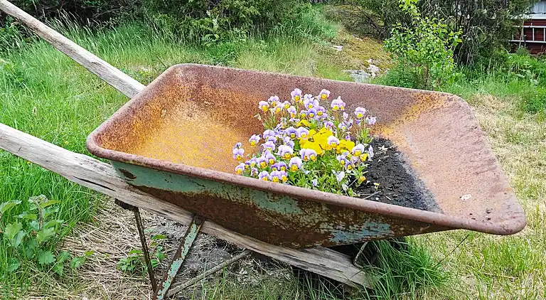 Sommerhus i Tjörn S