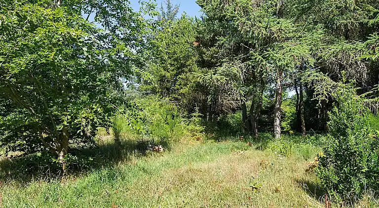 Vakantiehuis in Ulfborg