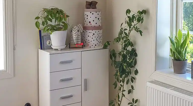 Sommerhus i Arvika Ö