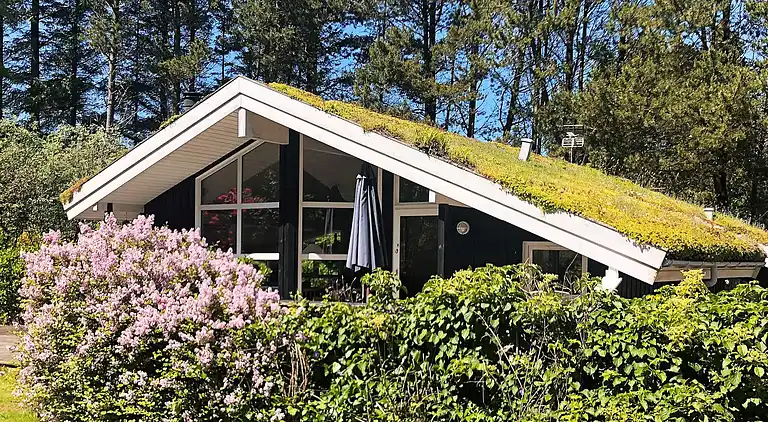 Feriebolig i Blokhus