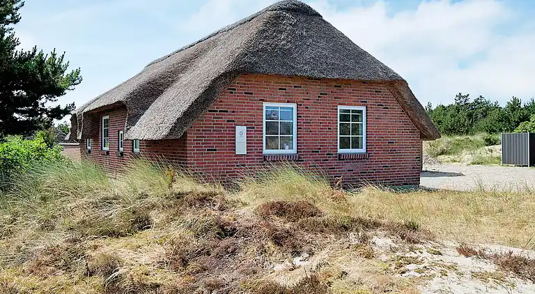 Ferienhaus in Ringkobing