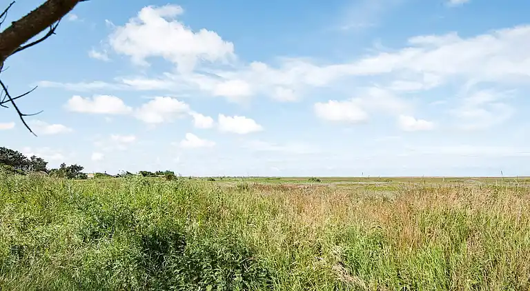 Holiday home in Bolilmark