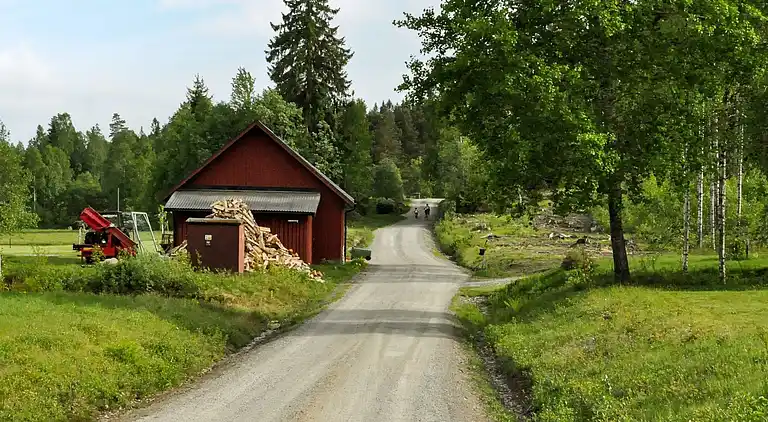 Sommerhus i Årjängs