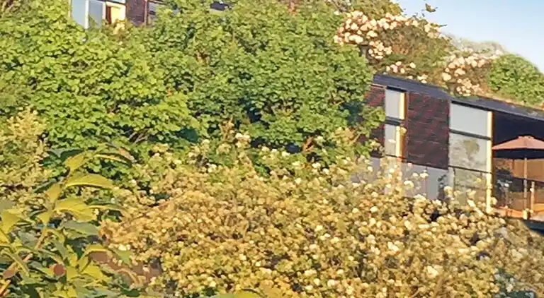 Holiday home in Slagelse