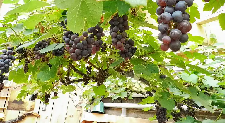 Holiday home in Lysekil