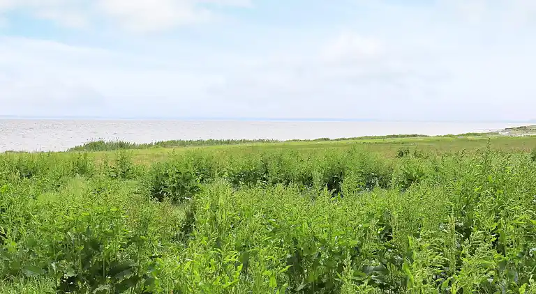 Vakantiehuis in Roslev