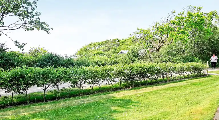 Holiday home in Bork Havn