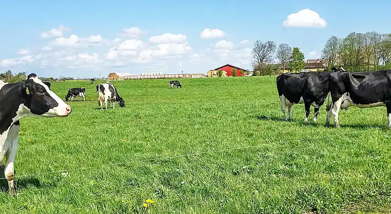 Holiday home in Slagelse