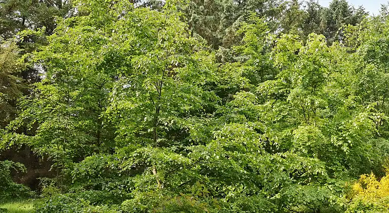 Vakantiehuis in Ulfborg