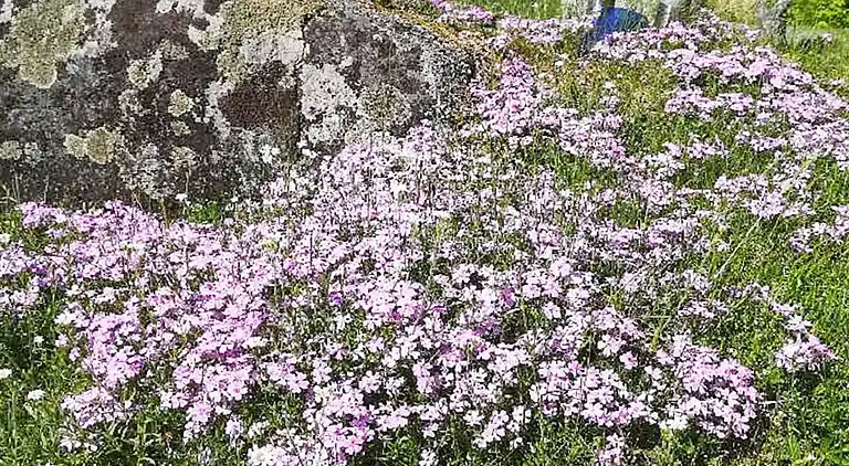 Sommerhus i Kristinehamn S