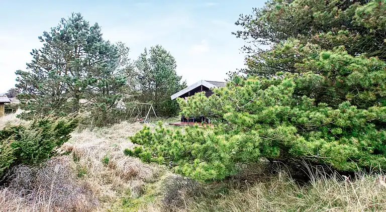 Feriebolig i Bindslev