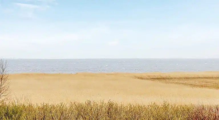 Feriebolig i Havneby