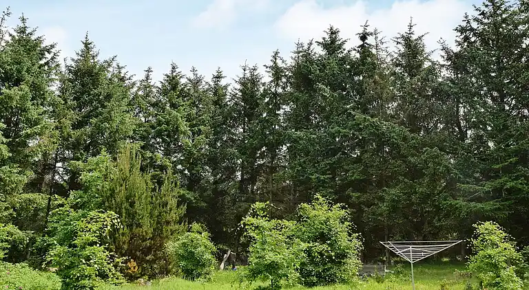 Vakantiehuis in Ulfborg