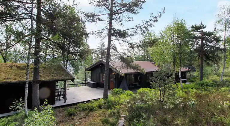 Sommerhus i Åseral