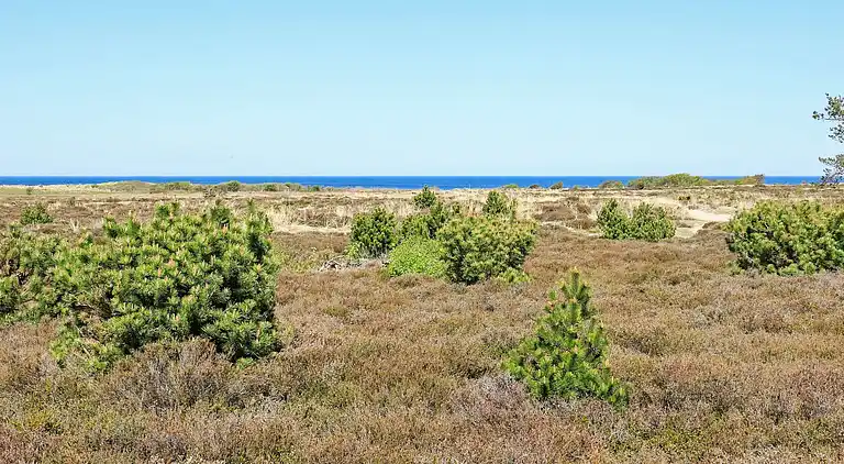 Vakantiehuis in Læsø