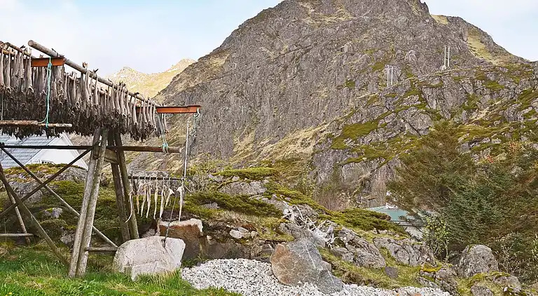 Holiday home in Vestvågøy