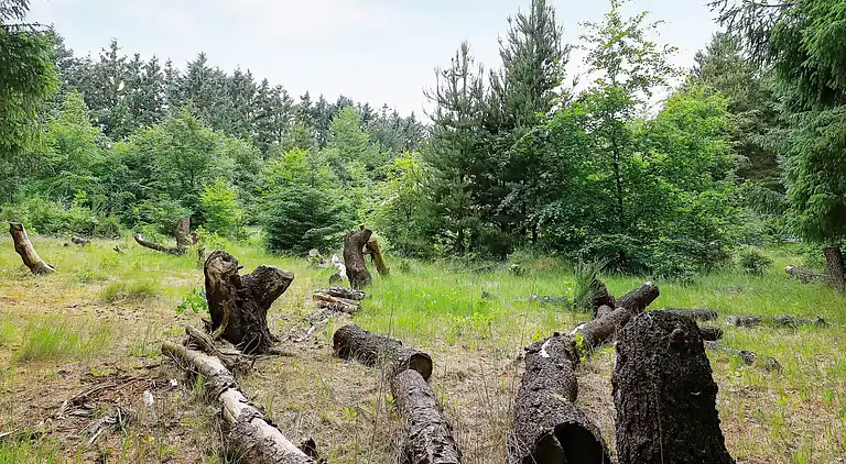 Vakantiehuis in Ulfborg