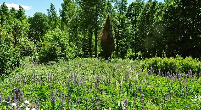 Ferienhaus in Gårdserud