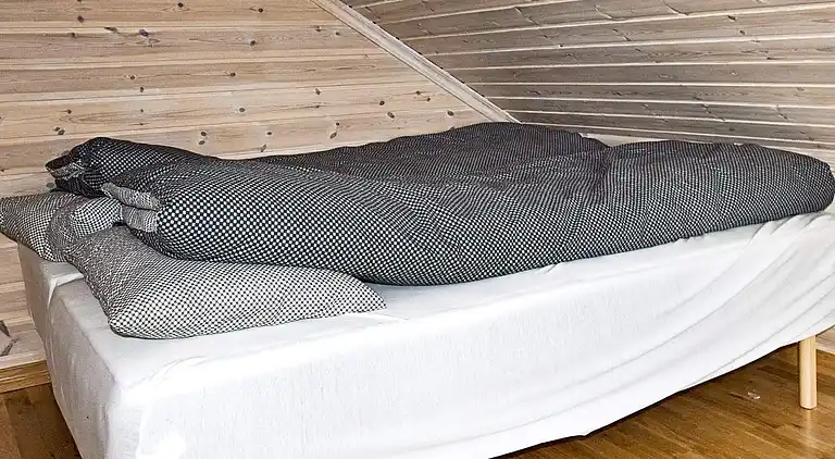 Holiday home in Åseral Municipality