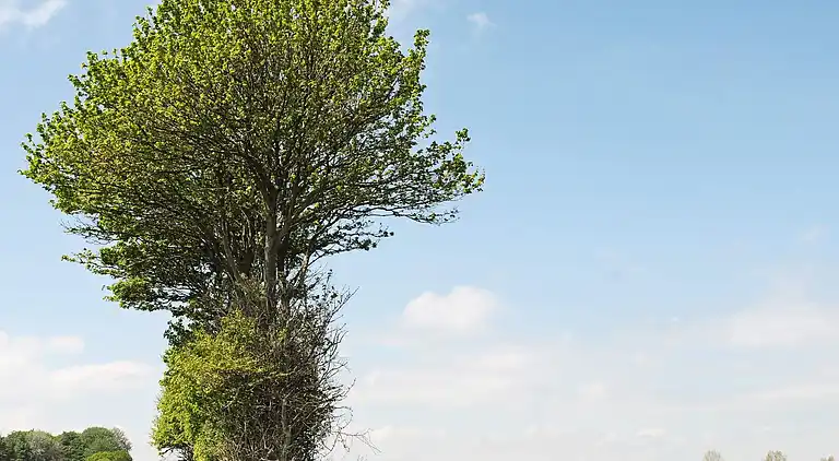 Holiday home in Tranekær