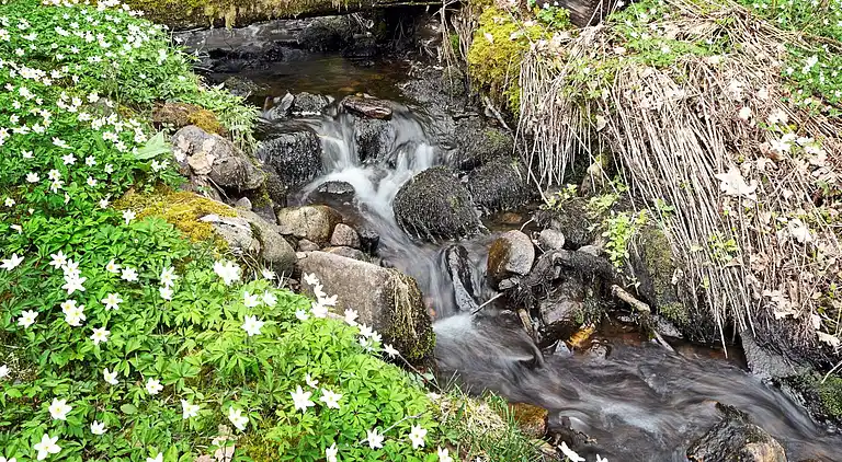 Holiday home in Alingsås
