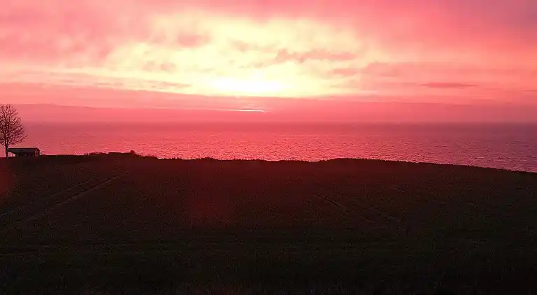 Sommerhus ved Mommark Strand