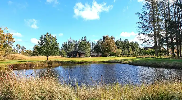 Holiday home in Skagen