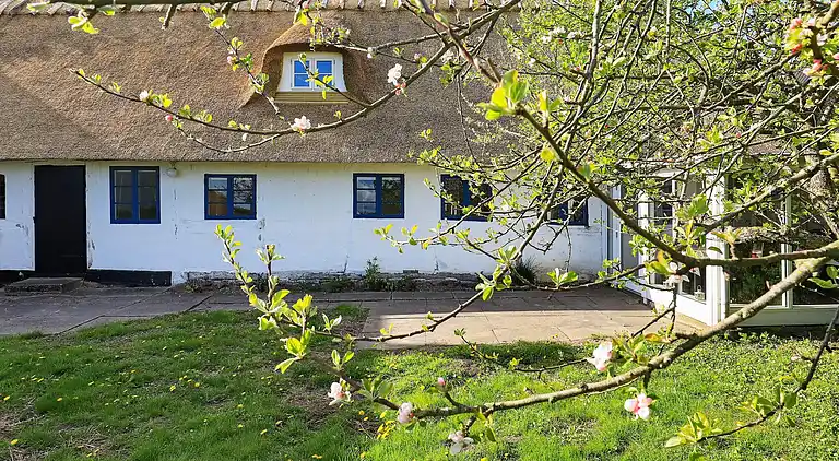 Sommerhus i Faaborg