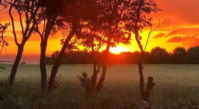 Holiday home in Faaborg